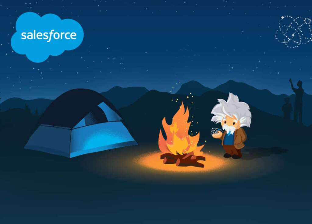 Data-driven Salesforce Marketing Solutions for campaign optimization